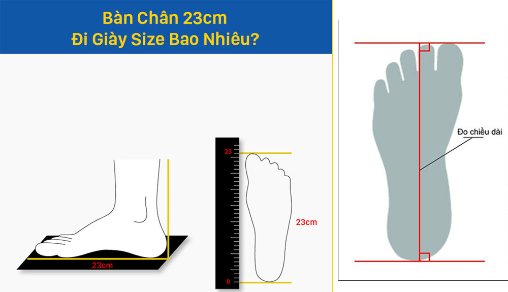 chan 23cm di giay size bao nhieu 8