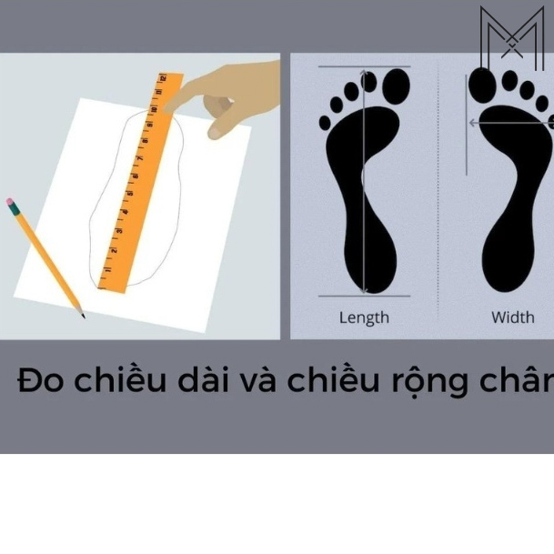 Cập nhật bảng size dép MLB mới nhất, chính xác và đầy đủ 2026 Cập nhật bảng size dép MLB mới nhất, chính xác và đầy đủ 2026