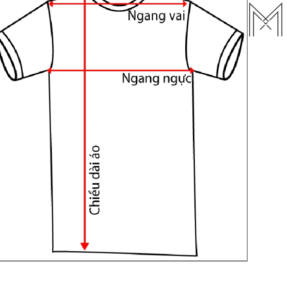 Cập nhật bảng size áo Lacoste chính hãng mới nhất năm 2026