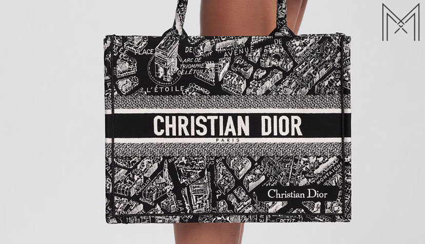 tui xach dior