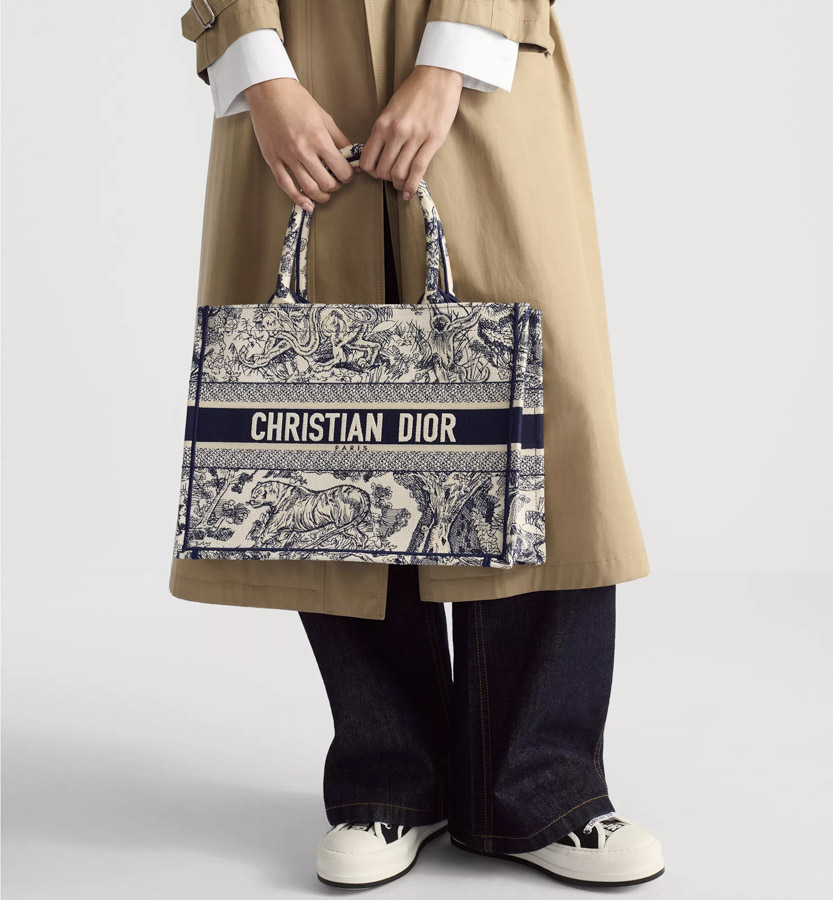 Túi Xách Dior Canvas Book Tote Họa Tiết Thổ Cẩm Chính Hãng DR014 2026 Túi Xách Dior Canvas Book Tote Họa Tiết Thổ Cẩm Chính Hãng DR014 2026
