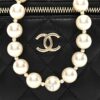 Túi Chanel quai ngọc da cừu màu đen chính hãng TCN17 2026