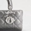 Túi Xách Đeo Chéo Lady Dior Bạc Thời Trang DR020 2026