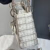 Túi Xách Lady Dior Da Cá Sấu Bạch Tạng Đính Đá Chính Hãng DR025 2026