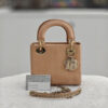 Túi Xách Đeo Chéo Lady Dior Màu Cam Da Rắn Chính Hãng DR027 2026