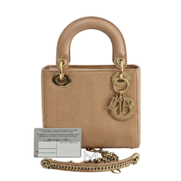 Túi Xách Đeo Chéo Lady Dior Màu Cam Da Rắn Chính Hãng DR027