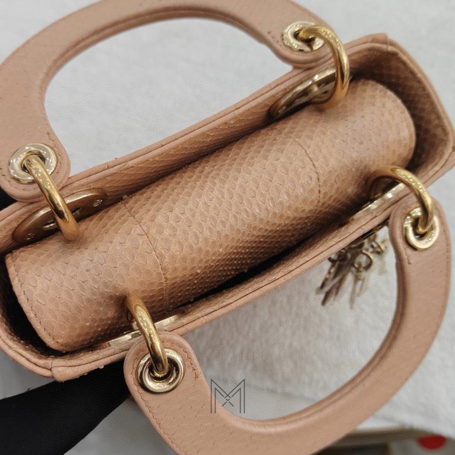 Túi Xách Đeo Chéo Lady Dior Màu Cam Da Rắn Chính Hãng DR027 2026 Túi Xách Đeo Chéo Lady Dior Màu Cam Da Rắn Chính Hãng DR027 2026