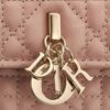 Túi Đeo Chéo Dior Dây Xích Màu Cam Da Bê Thời Trang DR029 2026