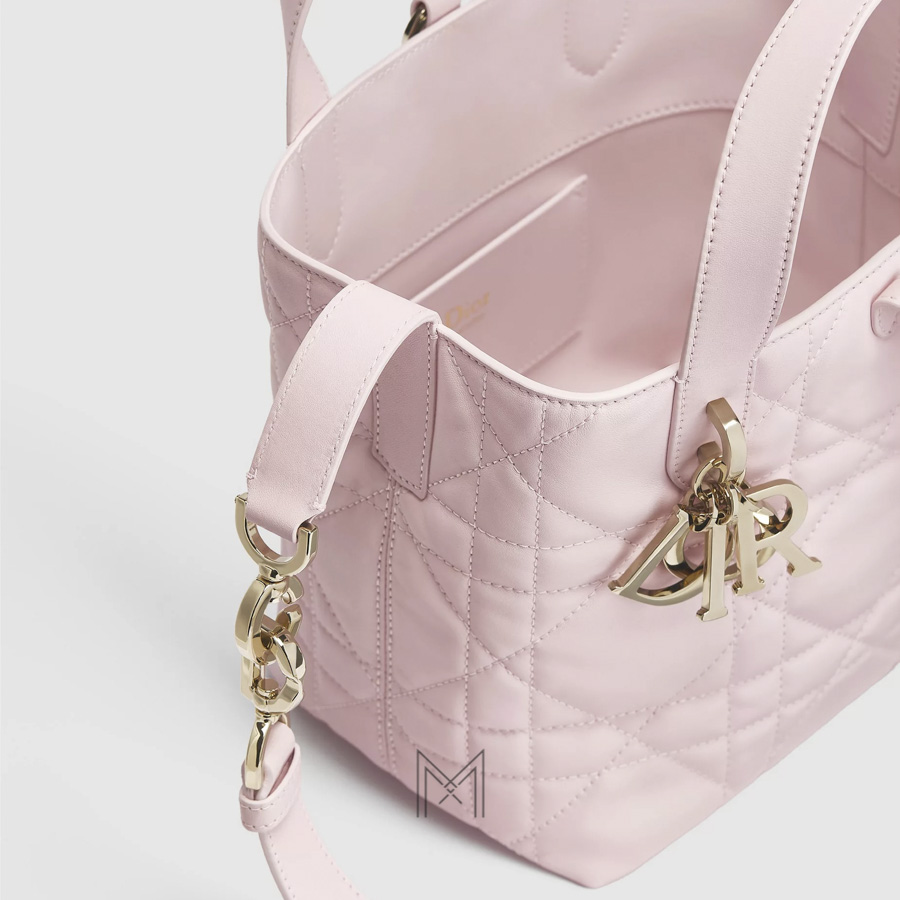 Túi Xách Đeo Chéo Dior Hồng Phấn Da Cừu Chính Hãng TR038 2026 Túi Xách Đeo Chéo Dior Hồng Phấn Da Cừu Chính Hãng TR038 2026