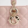 Túi Xách Đeo Chéo Lady Dior D-Joy Hồng Da Bê Chính Hãng TR046 2026